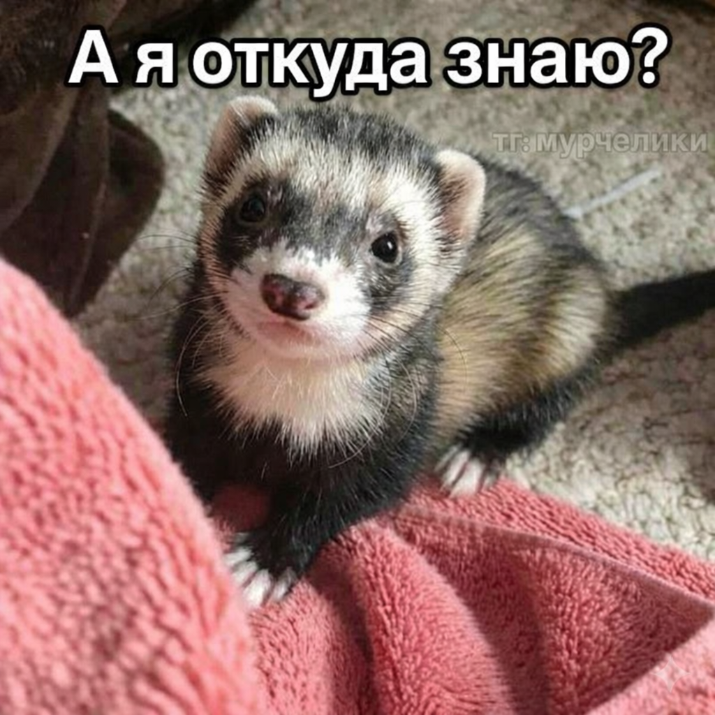 Фото-подсказка